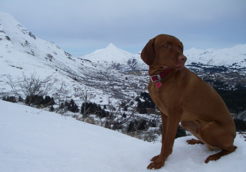 Odin
