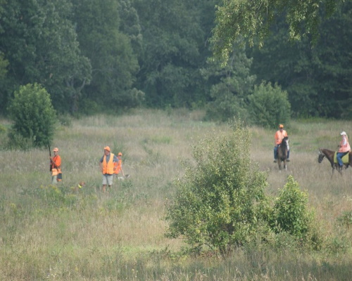 Hunting Pic