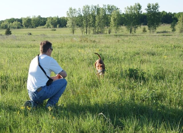 Hunting Pic