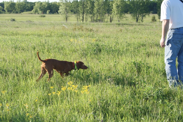 Hunting Pic