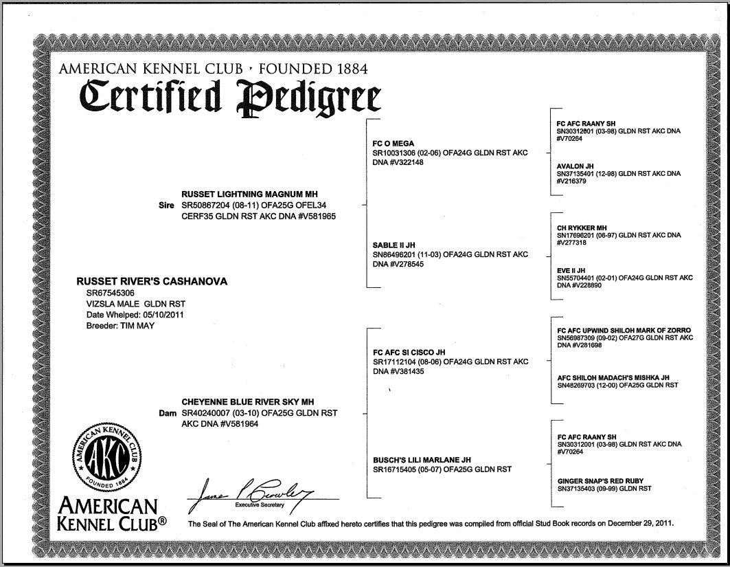 Cashanova Pedigree